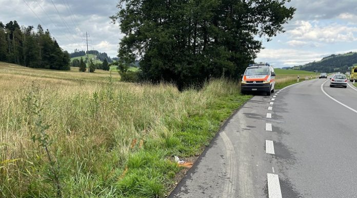 Gegen Bäume geprallt und leicht verletzt