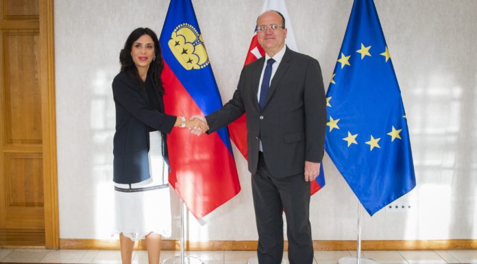 Treffen mit dem slowakischen Aussenminister