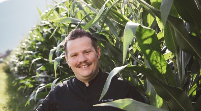 Ribel-Renaissance – traditioneller Klassiker neu interpretiert