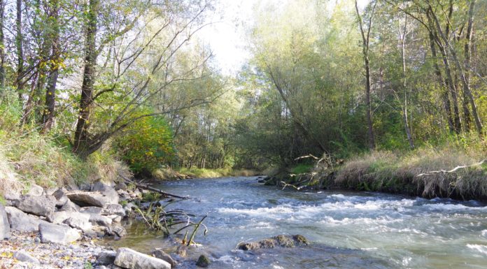 Stellungnahme zum Postulat: Umweltfreundlicher Strom für unsere Heimat