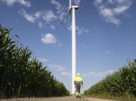 Wird auch in Ruggell ein Windrad zur besseren Eigenversorgung gebaut. Mit im Boot Regierung, LKW und Ruggell. Allerdings beginnt jetzt die Prüfungsphase. Foto: Picture Alliance, FFM