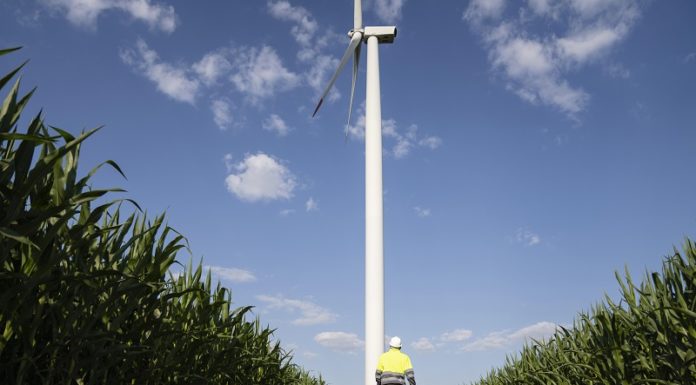 Ein mutiger Schritt in Richtung Eigenversorgung Wird auch in Ruggell ein Windrad zur besseren Eigenversorgung gebaut. Mit im Boot Regierung, LKW und Ruggell. Allerdings beginnt jetzt die Prüfungsphase. Foto: Picture Alliance, FFM