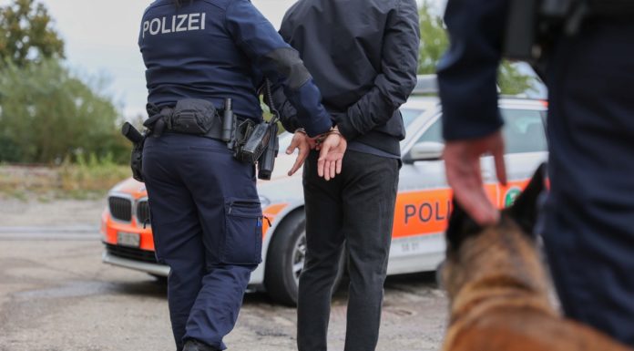 Bad Ragaz/Rorschach: Diensthund und Drittpersonen verhelfen zu zwei Festnahmen