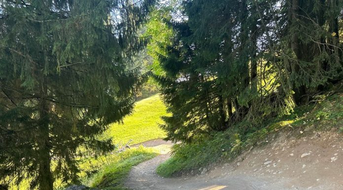 Verunfallter Mountainbiker mit Rega ins Spital geflogen