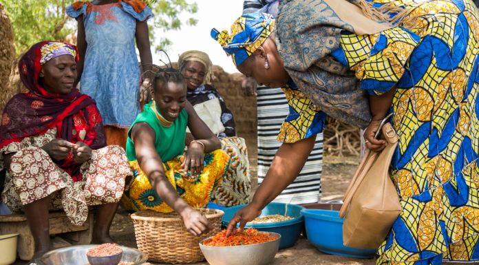Der LED-Beitrag zur Erreichung des SDG 2 «Kein Hunger»