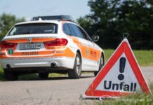 Waldkirch: Zwei Schwerverletzte nach Forstunfall