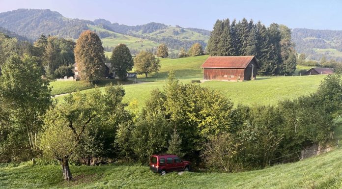 Auto durchbricht Weidezaun und prallt in Schaf