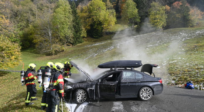 Fahrzeugbrand in Triesenberg
