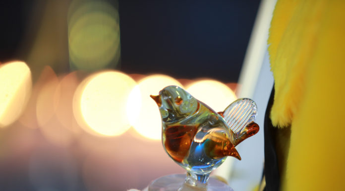 Kinderjurys für 32. Deutsches Kinder Medien Festival Goldener Spatz gesucht