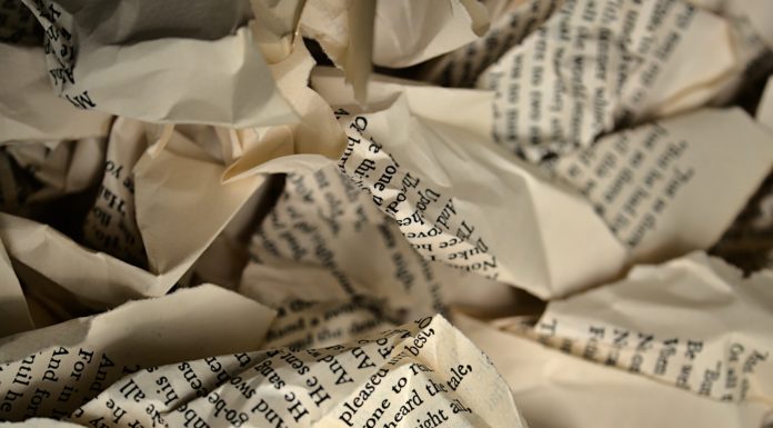 Original-Fassung der aktuellen Ausrichtung der MiM-Partei