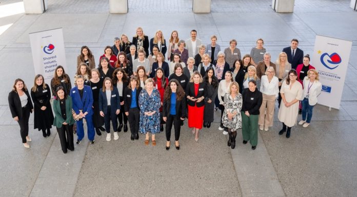 Treffen der Istanbul-Konvention in Liechtenstein