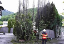 Rüthi: Brand von Zypressen