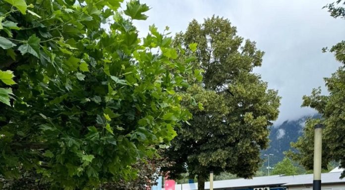 VU Ortsgruppe Vaduz: Minigolf- und Pizzaplausch gemeinsam mit der Jugendunion