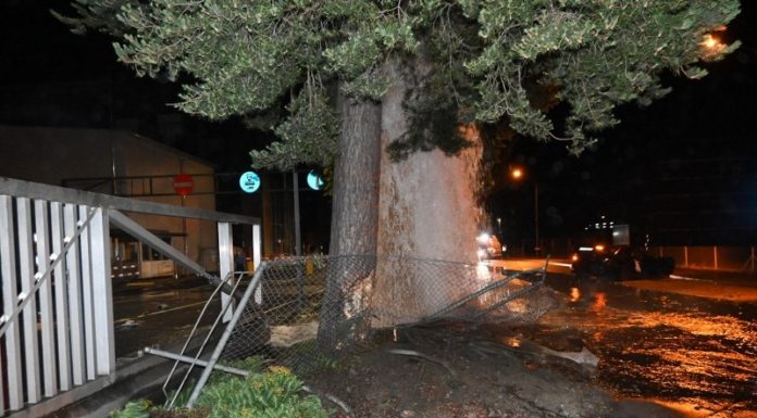 Schaan: Ohne Führerschein Selbstunfall verursacht