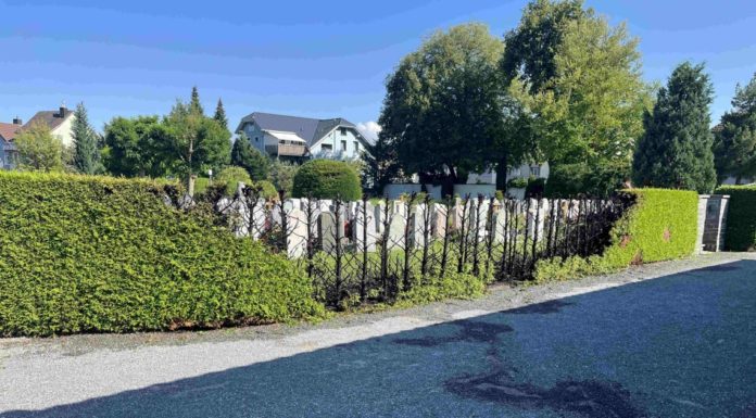 Widnau/Flawil: Heckenbrände