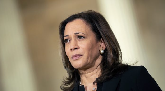 Kamala Harris: Wird sie Kandidatin?