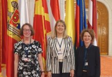 Bukarest-Erklärung verabschiedet