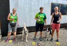 Spannung und Gemütlichkeit