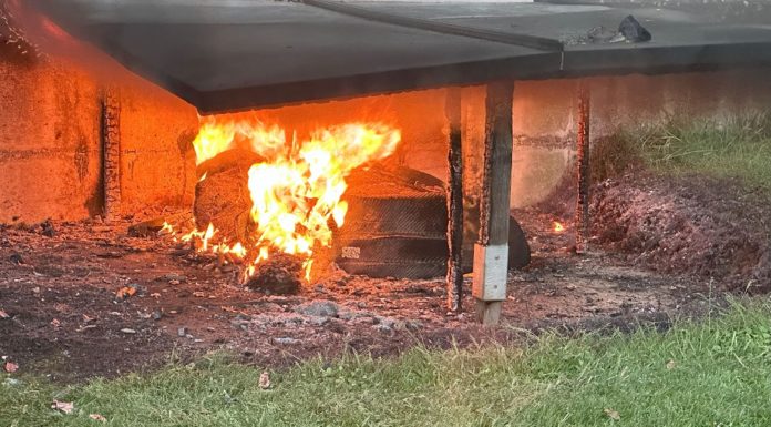 Brand von Mähroboter, 20.000 Franken Schaden