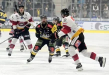 Schlappe für Pioneers gegen Pustertaler Wölfe