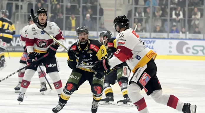 Schlappe für Pioneers gegen Pustertaler Wölfe