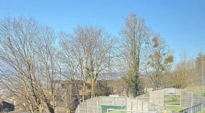 Das Land verkauft Pavillon und Kleinspielfeld in Schaan