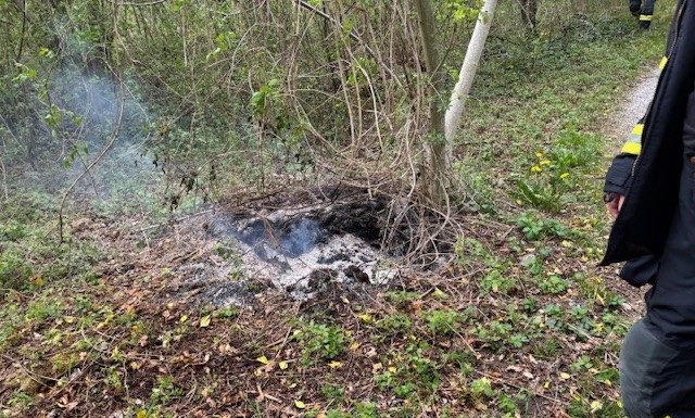Mottbrand in Triesen – Grosse Waldbrandgefahr