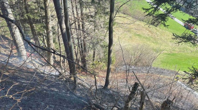 Bodenbrand nach Pflanzenverbrennung