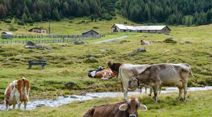 Sömmerungsverordnung 2025 erlassen