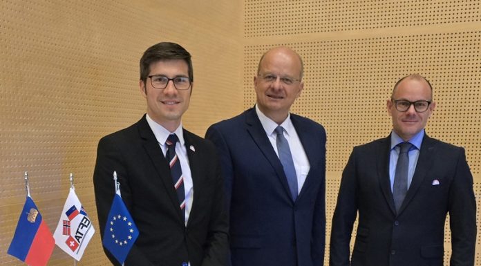 EWR/EFTA-Delegation tauscht sich mit EU-Parlamentariern in Island aus