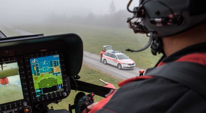 Mann nach Huftritt schwer verletzt