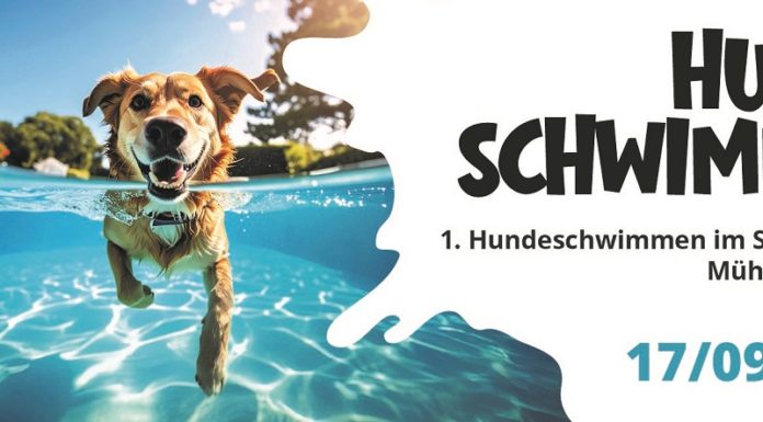 1. Hundeschwimmen im Freibad Mühleholz Vaduz