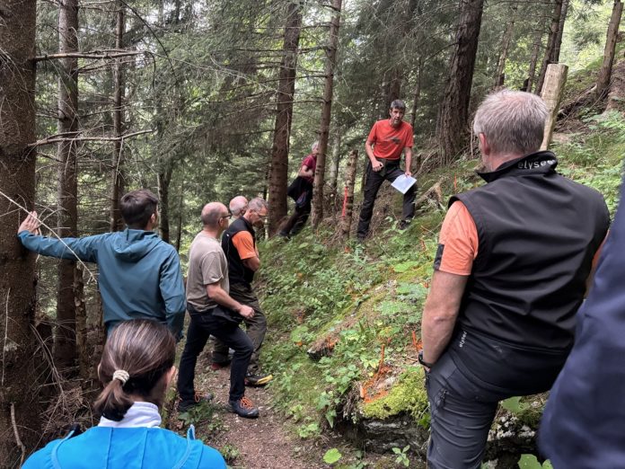 Waldbegehung Triesenberg