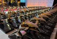 Bank Frick gewinnt zwei Gold-Delfine in Cannes