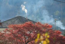 Richtig Heizen mit Holz