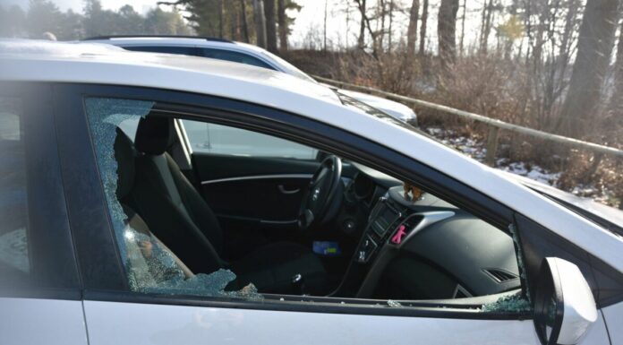 Mehrere Einschleich- und Einbruchdiebstähle in Balzers