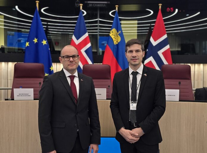 EFTAEWR-Treffen 2025_Strassburg_Landtag Liechtenstein