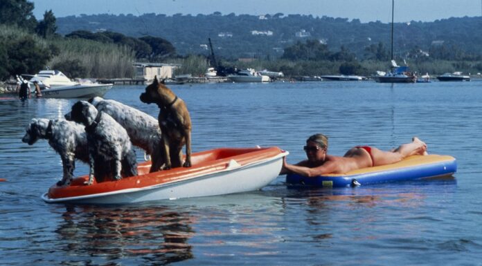 Film-Ikone Brigitte Bardot ist tot