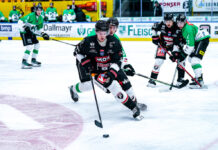 Pioneers Vorarlberg empfangen Olimpija Ljubljana