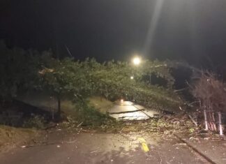 Diebstahl, Körperverletzung, Brände, familiäre Streitigkeiten