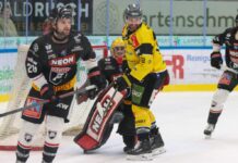 Pioneers Vorarlberg verlieren enge Partie gegen Bruneck