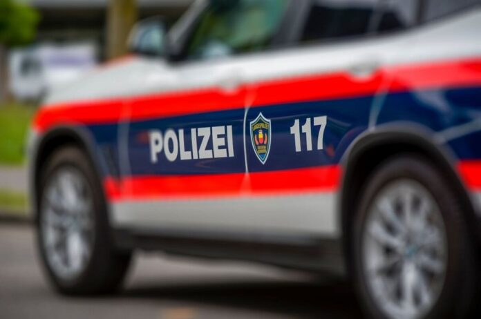 Polizeiauto FL