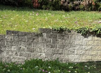 Frühlingsgefühle: heute ist Frühlingsanfang