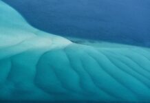 Foto-Ausstellung Blum in Tokyo