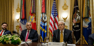 USA helfen Ungarns Orban die Wahl zu gewinnen