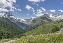 Alpinformationsveranstaltung zur Vorbereitung auf die Alpsaison