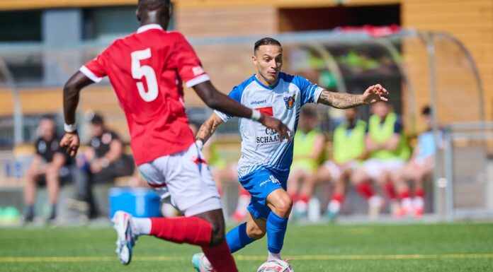 USV: Doppelpack von Pizzi führt zu 2:1(1:0)-Sieg
