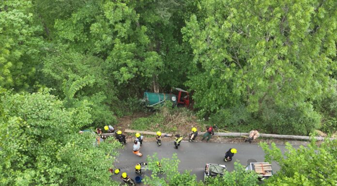 Quarten: Landwirtschaftlicher Transporter abgestürzt – 2 Personen verletzt
