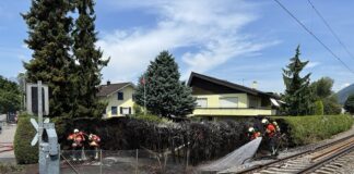 Heckenbrand bei Bauarbeiten in Schaan