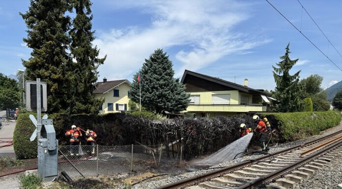 Heckenbrand bei Bauarbeiten in Schaan